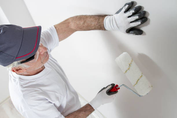 Best Crawl Space Mold Remediation  in Laurel Hill, NC