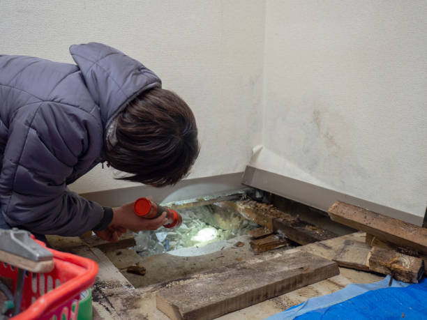 Best Real Estate Mold Inspection  in Laurel Hill, NC