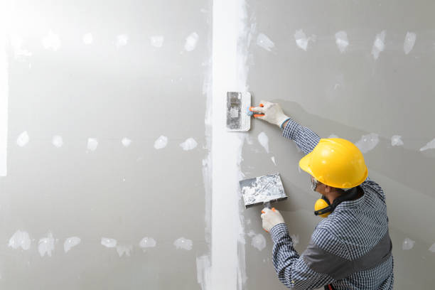 Trusted Laurel Hill, NC Mold Removal Experts