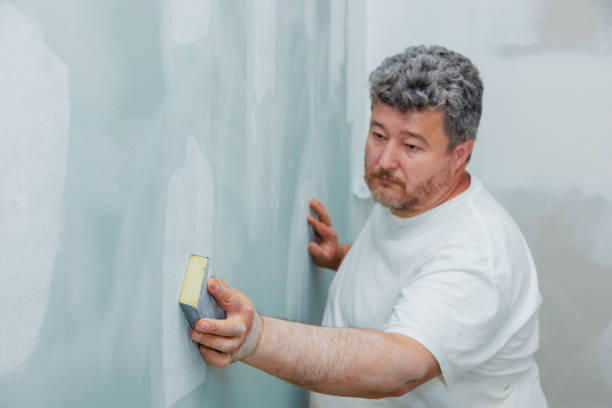 Best Real Estate Mold Inspection  in Laurel Hill, NC